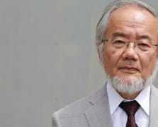 Japon biyolog Yoshinori Ohsumi, otofaji keşfiyle 2016 Nobel Tıp Ödülü'nü kazandı
