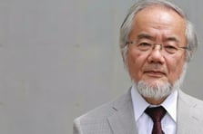 Japon biyolog Yoshinori Ohsumi, otofaji keşfiyle 2016 Nobel Tıp Ödülü'nü kazandı