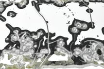 Bolu Aladağ Gölü'nde kış esintileri