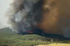 Sakarya'da ormanlık alanda çıkan yangın Bilecik tarafına sıçradı