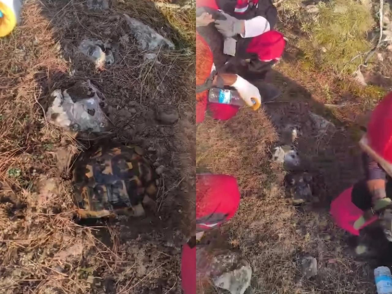 Alevlerden korunmak için kendini toprağa gömmeye çalıştı