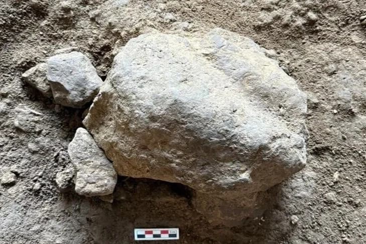 Bilecik'te binlerce yıllık kaplumbağa heykelcikleri bulundu