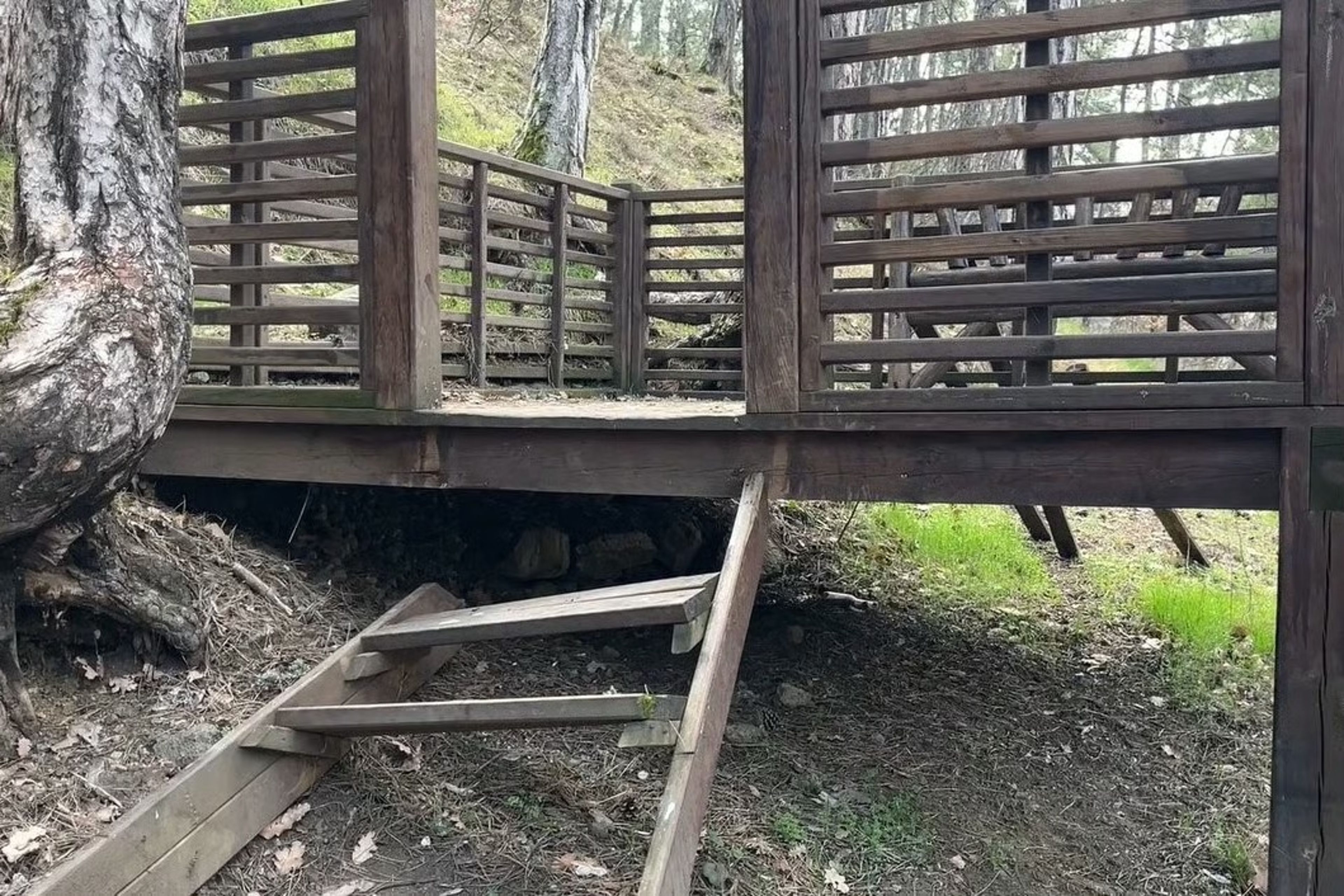 Kızılcahamam Soğuksu Milli Parkı'nda kapsamlı yenileme dönemi başladı