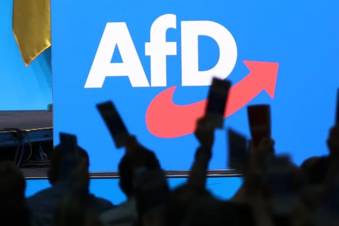 Almanya'da yerel seçimlerden önce AfD'nin 6 adayı öldü