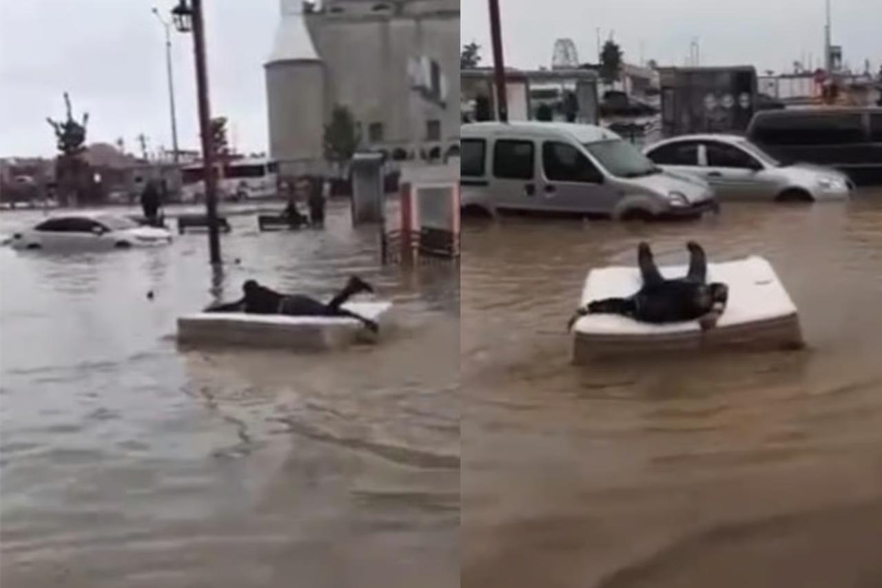Yatağı sal gibi kullanarak göle dönen yolda gezdi