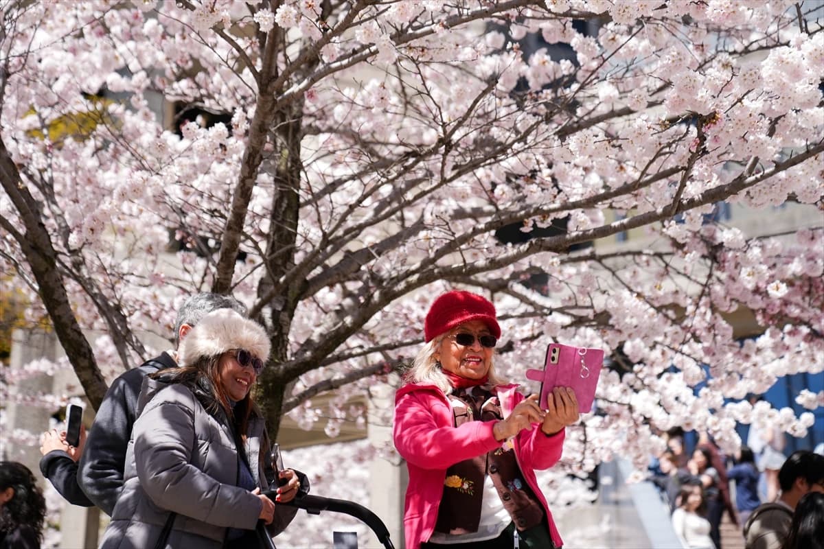 Toronto'da Japon esintisi | Dört bir yanı sardılar...