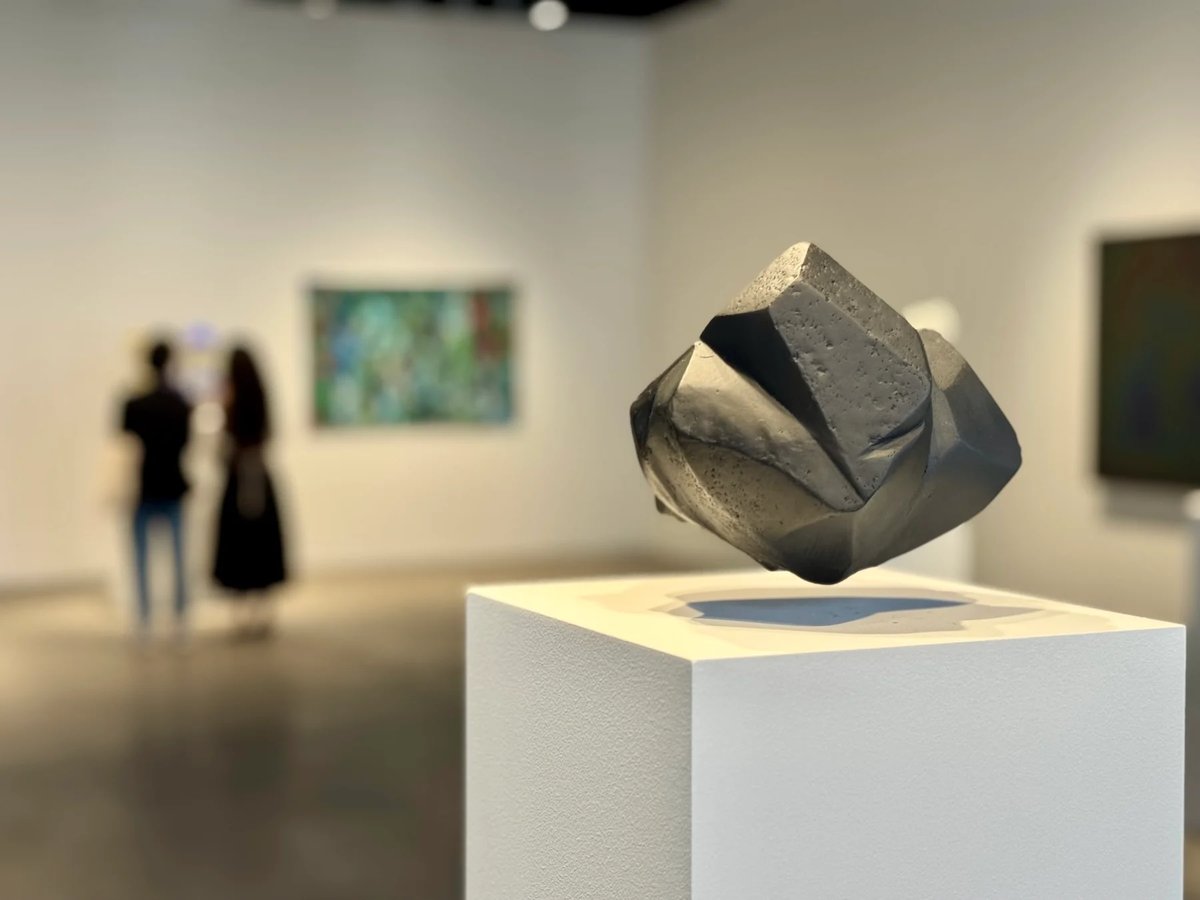 Agnieszka Kurant, Hava Hakları 7. 