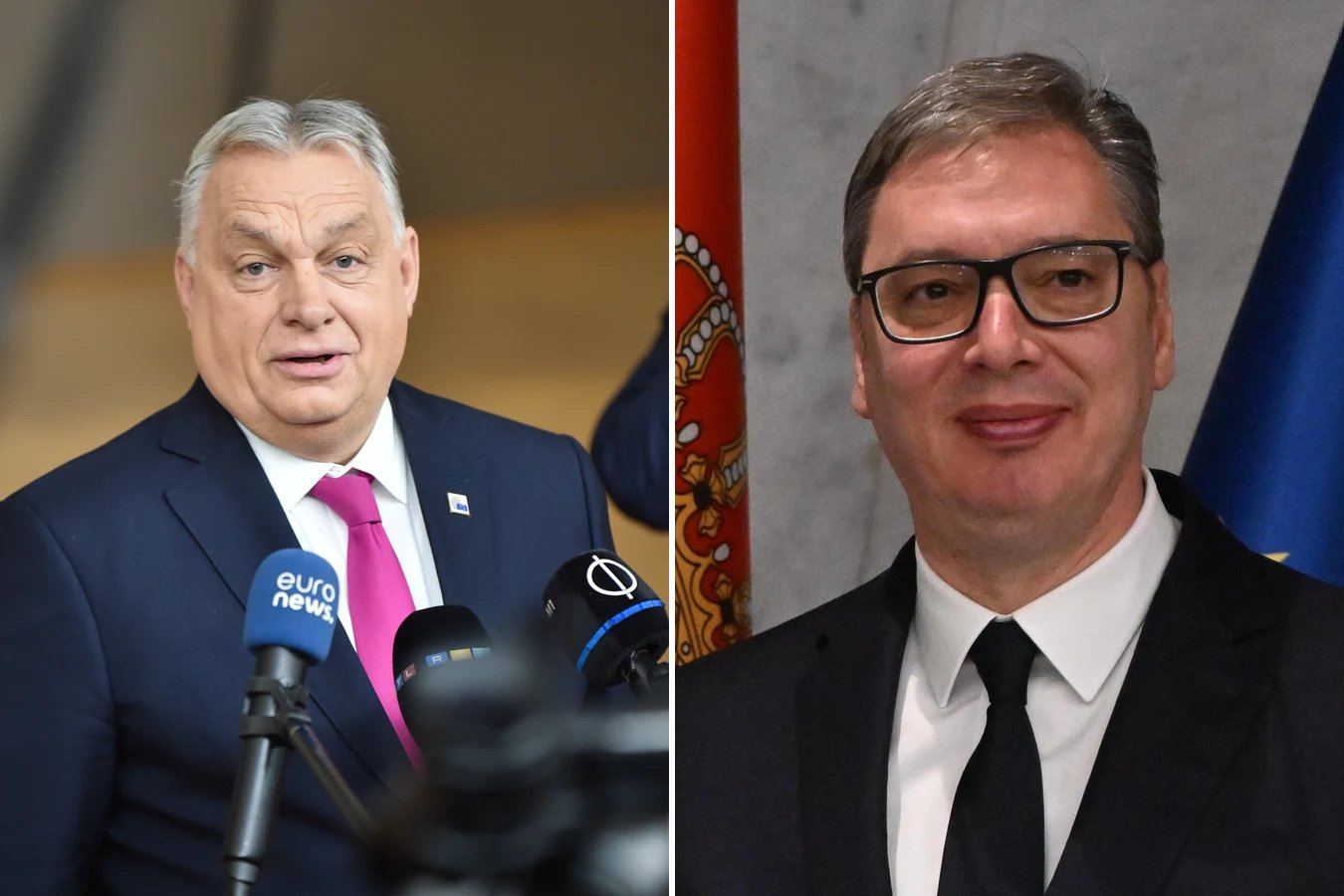 Orbán and Vučić Meet After Election Losses