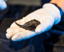 Çek Cumhuriyeti'nde Roma askerinin bronz bilek çantası bulundu