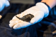 Çek Cumhuriyeti'nde Roma askerinin bronz bilek çantası bulundu