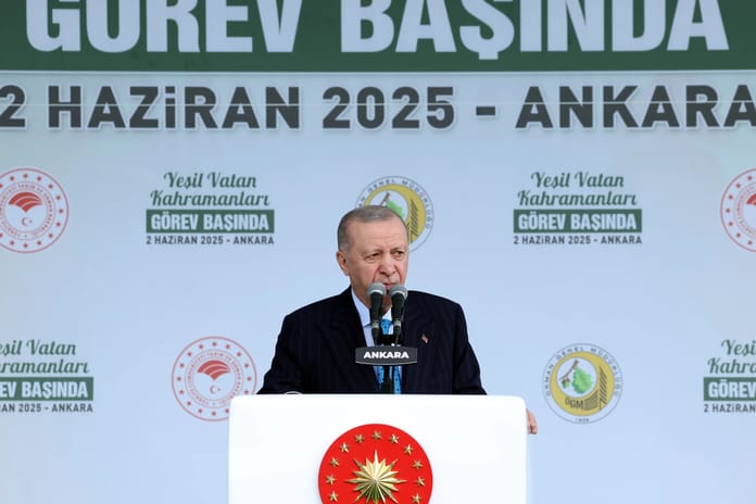 Cumhurbaşkanı Erdoğan'dan orman yangınları uyarısı: Ateş yakmak ihanettir!