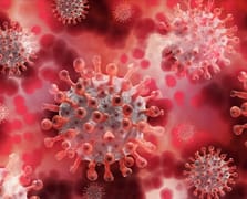 Gana’da maymun çiçeği alarmı: Vaka sayısı 79’a yükseldi