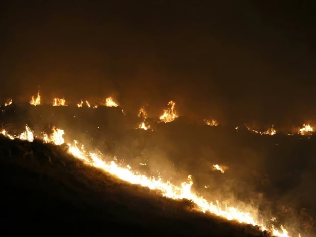 İtalya'nın Sardinya adasında orman yangınları başladı