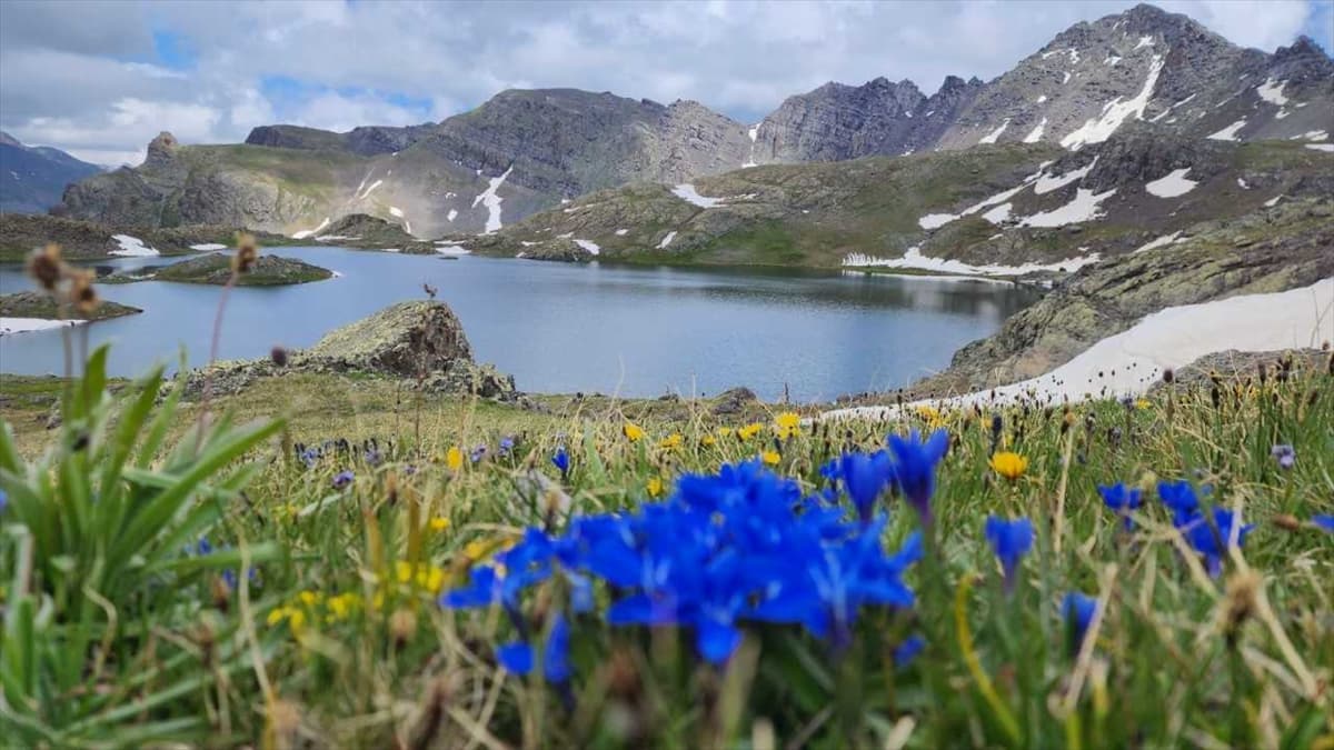 Erzurum'da 3 bin 200 rakımdaki Yedigöller'de kar ve yaz bir arada