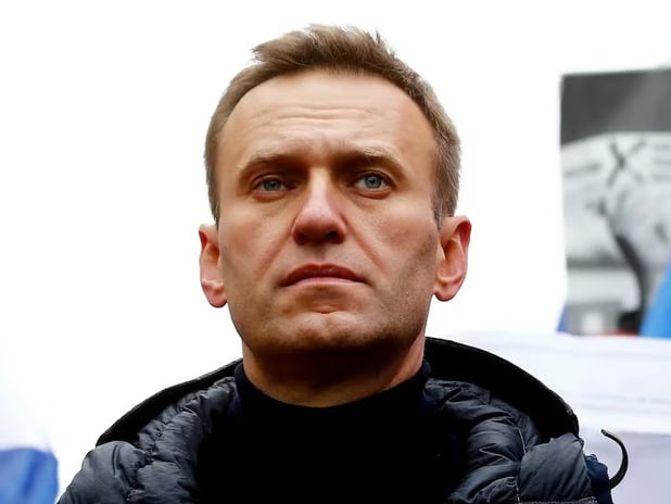 İngiltere'den Navalni iddiası: Kurbağa zehiriyle öldürüldü