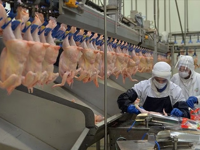 Beyaz et devlerine rekor ceza! Rekabet Kurulu faturayı kesti