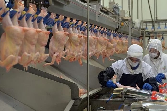 Beyaz et devlerine rekor ceza! Rekabet Kurulu faturayı kesti