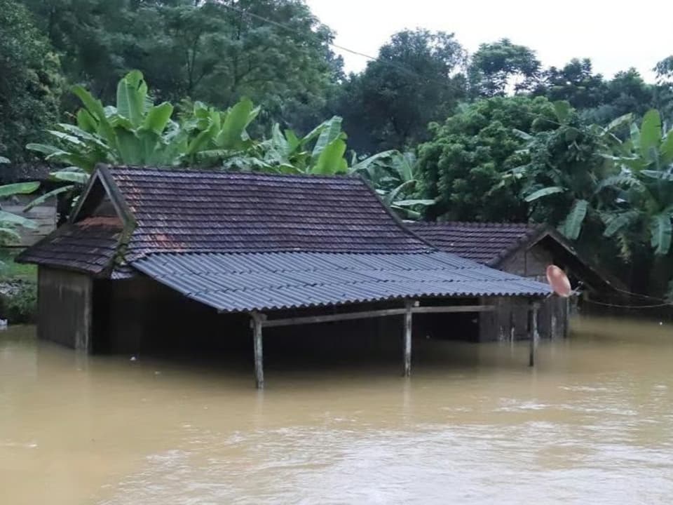 Vietnam'da selin acı bilançosu artıyor