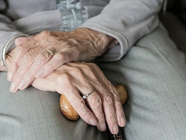 Japonya'da büyükanne kiralama hizmetine büyük ilgi