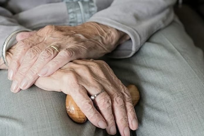 Japonya'da büyükanne kiralama hizmetine büyük ilgi