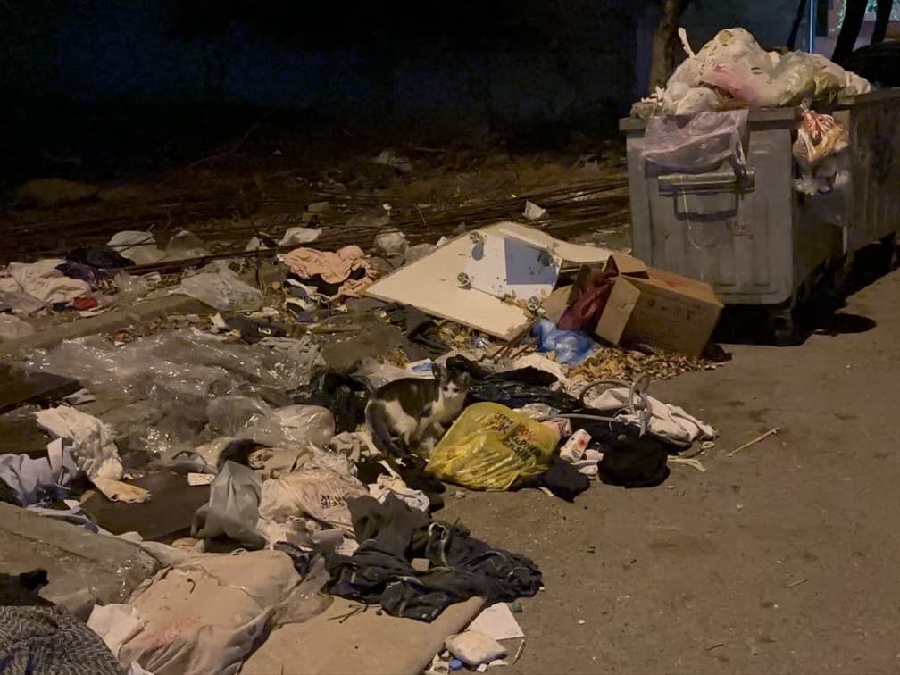 İstanbul Kartal'da çöp sorunu