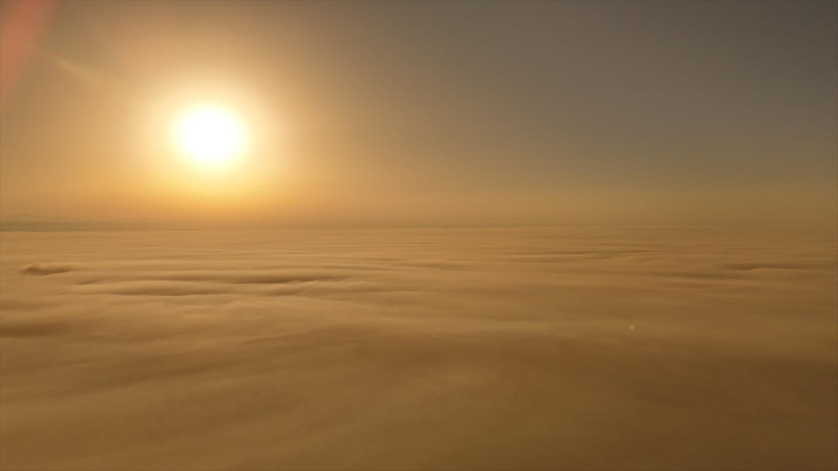Galeri Fotoğrafı