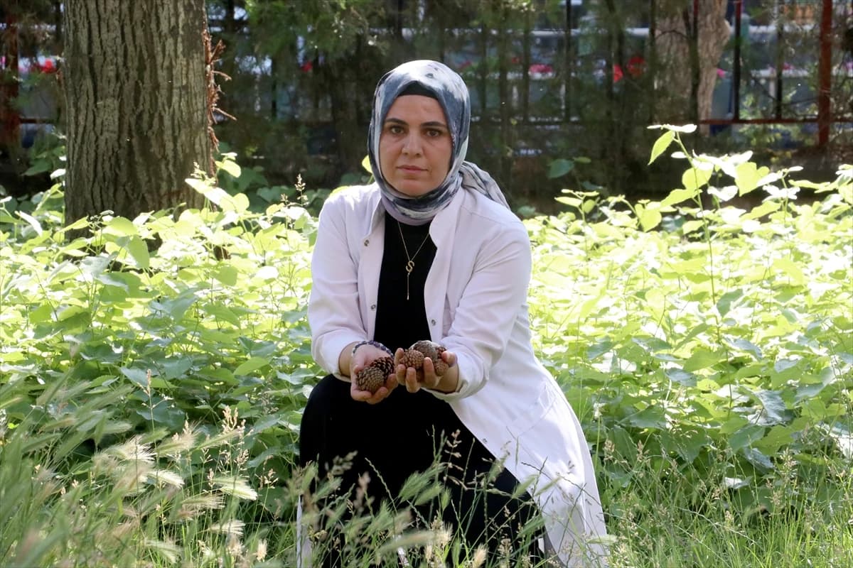 Endüstriyel boyalara meydan okuyan parlaklık