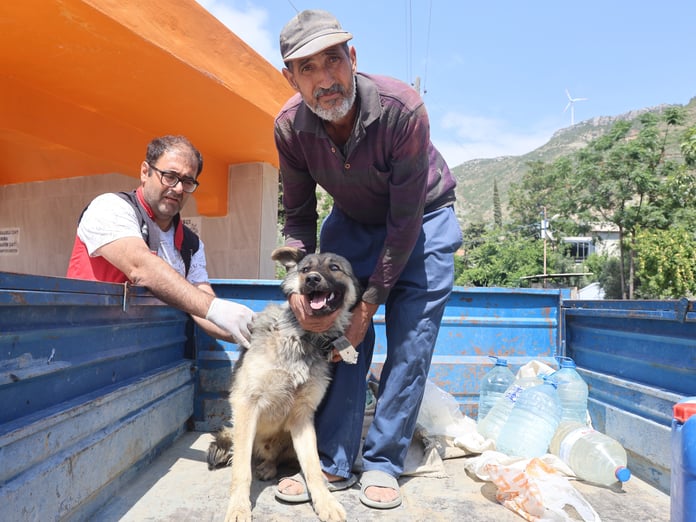 Hatay’da kuduz alarmı: 4 mahalle karantinada