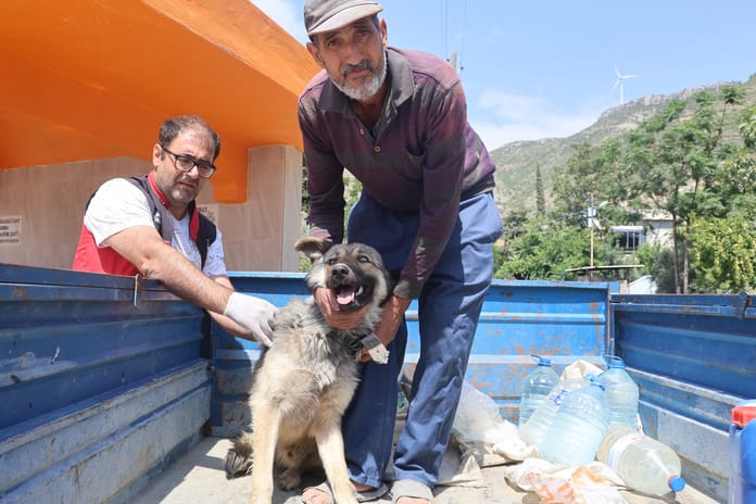 Hatay’da kuduz alarmı: 4 mahalle karantinada
