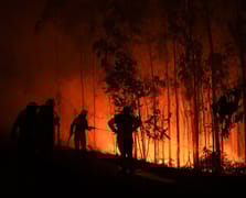 Orman yangınları ile mücadele eden Portekiz alarm durumuna geçti