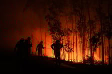 Orman yangınları ile mücadele eden Portekiz alarm durumuna geçti