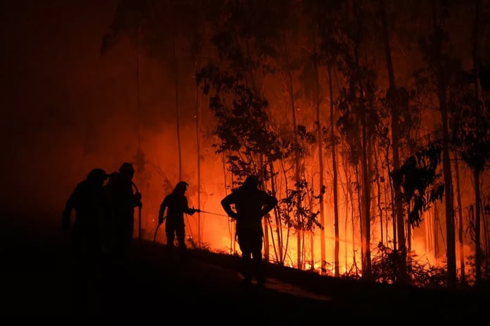Orman yangınları ile mücadele eden Portekiz alarm durumuna geçti