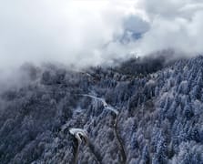 Yaylalarda beyaz örtü: Rize ve Artvin karla kaplandı 