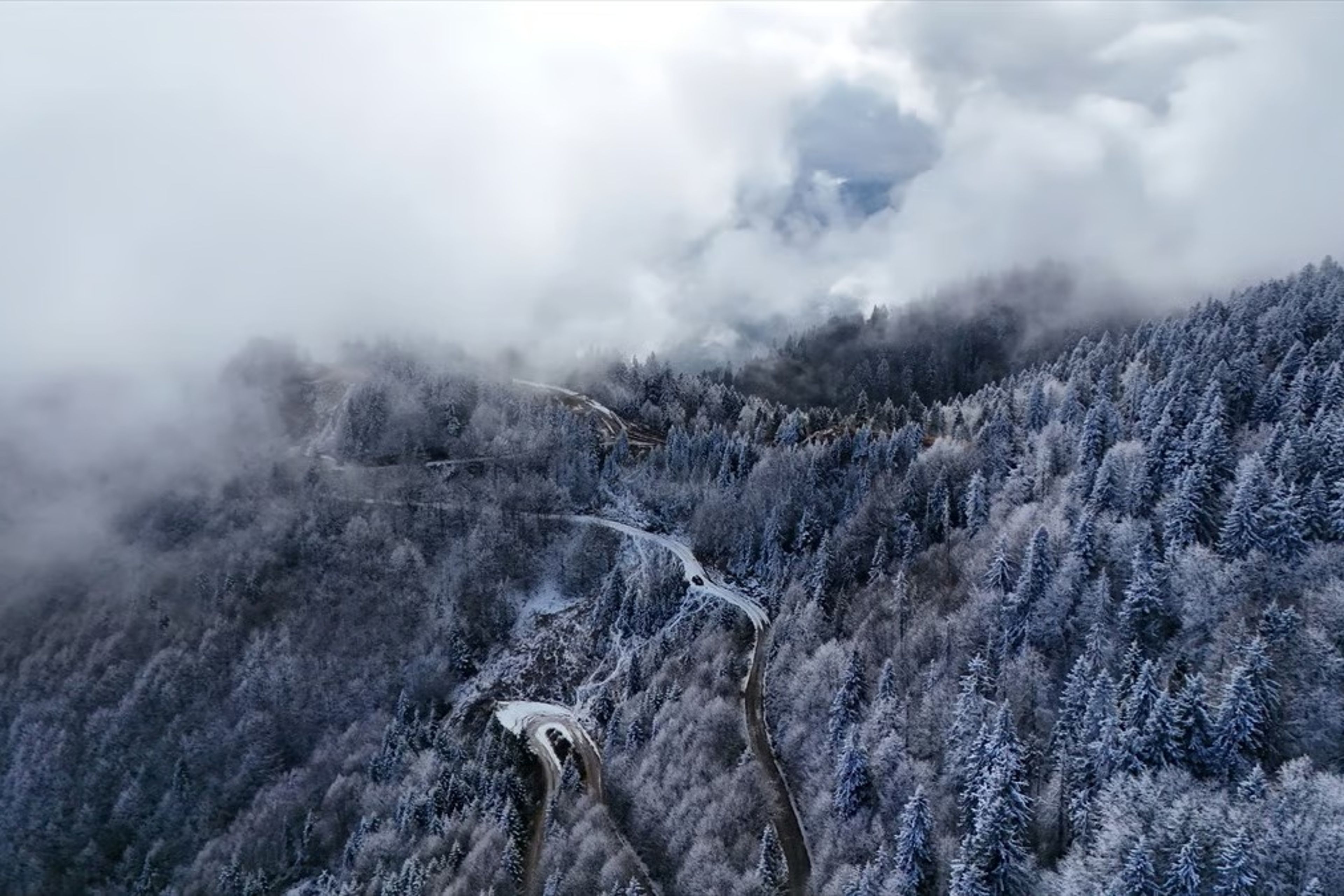 Yaylalarda beyaz örtü: Rize ve Artvin karla kaplandı 