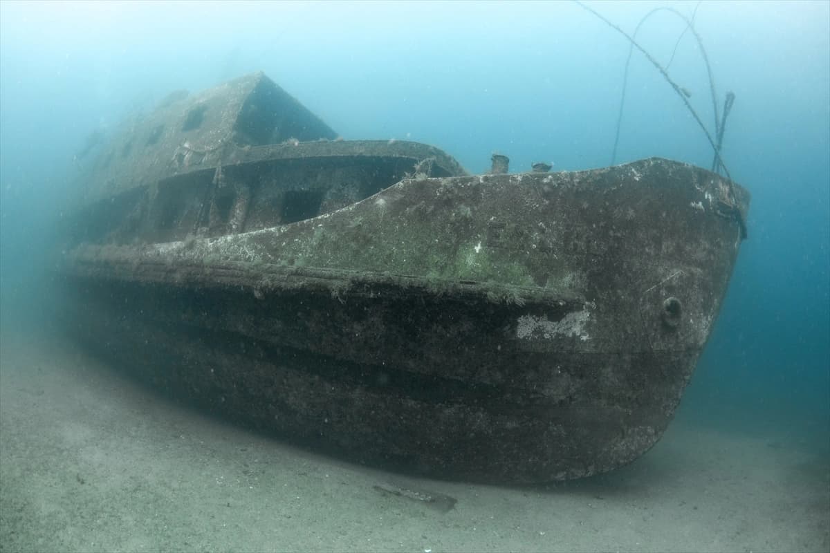 Denizin altındaki dünya Karaburun'da keşfediliyor