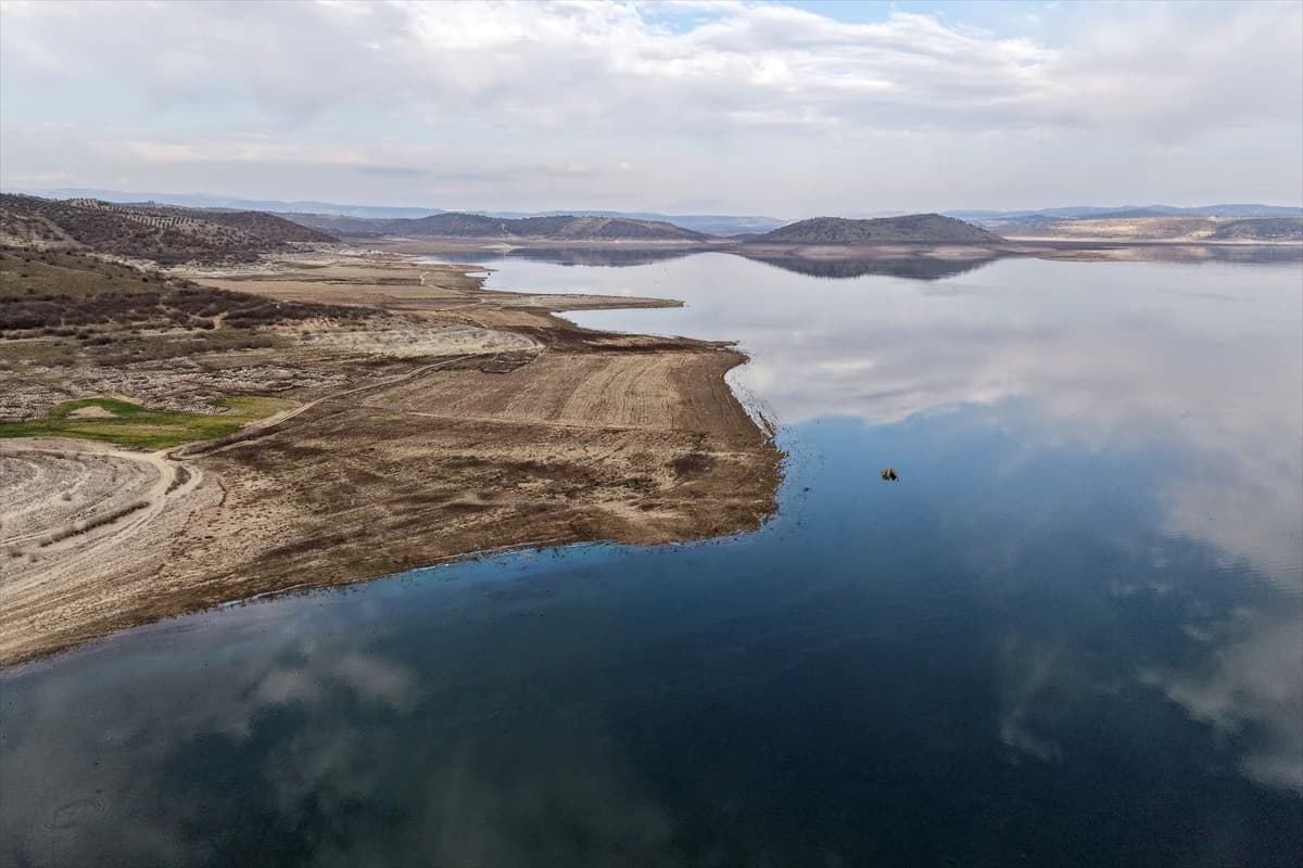 Manisa'daki Demirköprü Barajı yosunla kaplandı