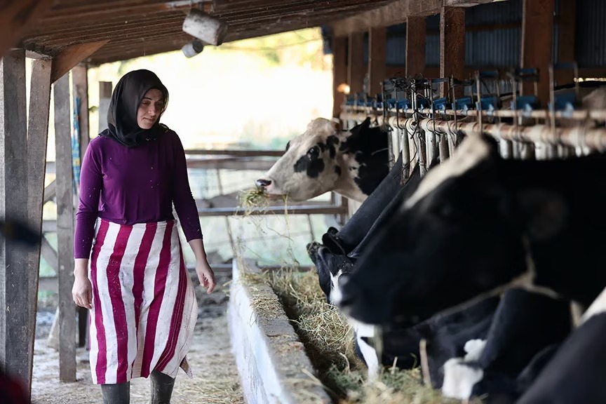 Bekara 2, evliye 3 asgari ücret maaş verilecek