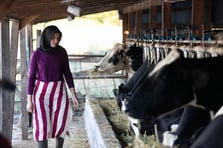 Genç çiftçilere müjde! Bekara 2, evliye 3 asgari ücret maaş verilecek