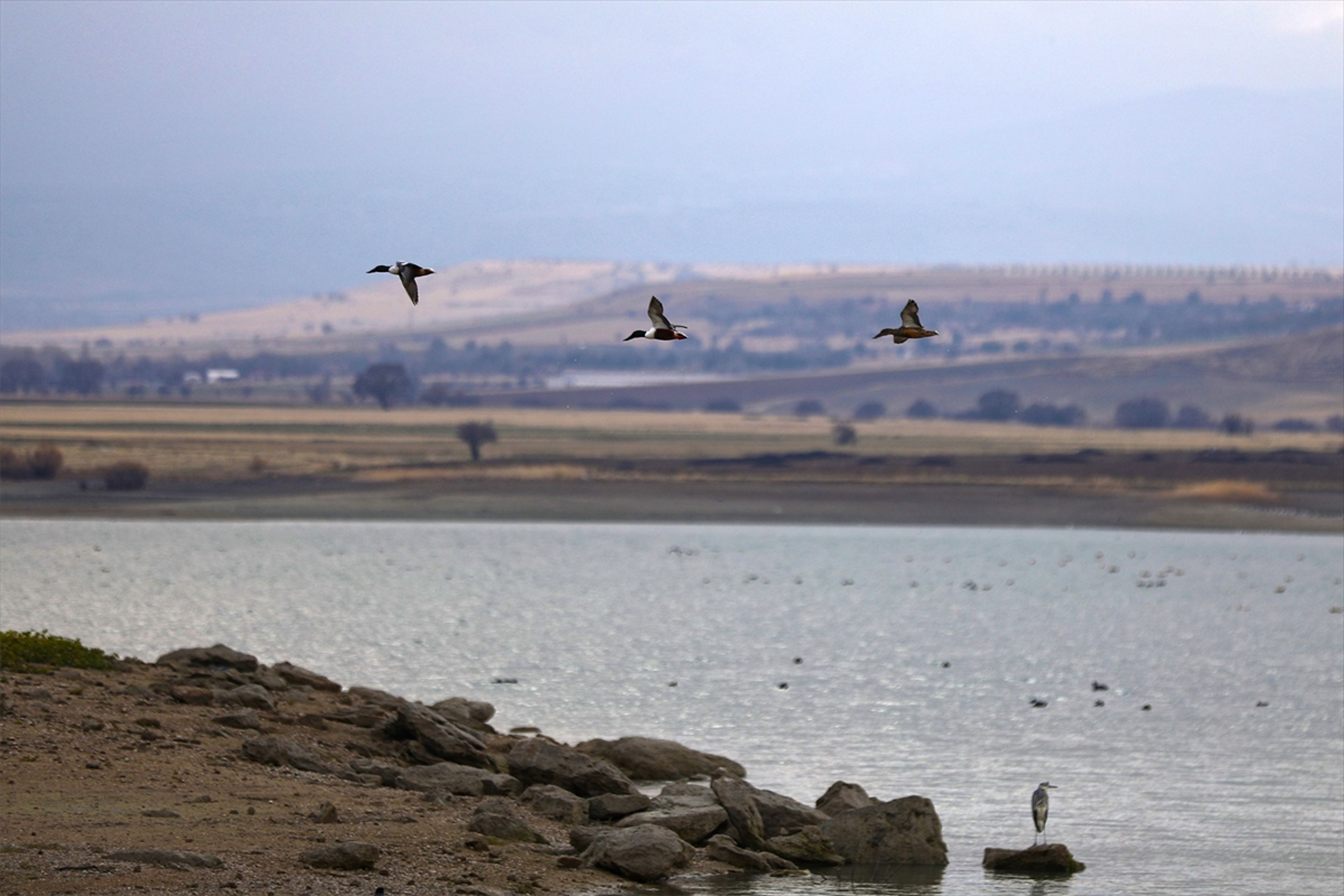 Galeri Fotoğrafı