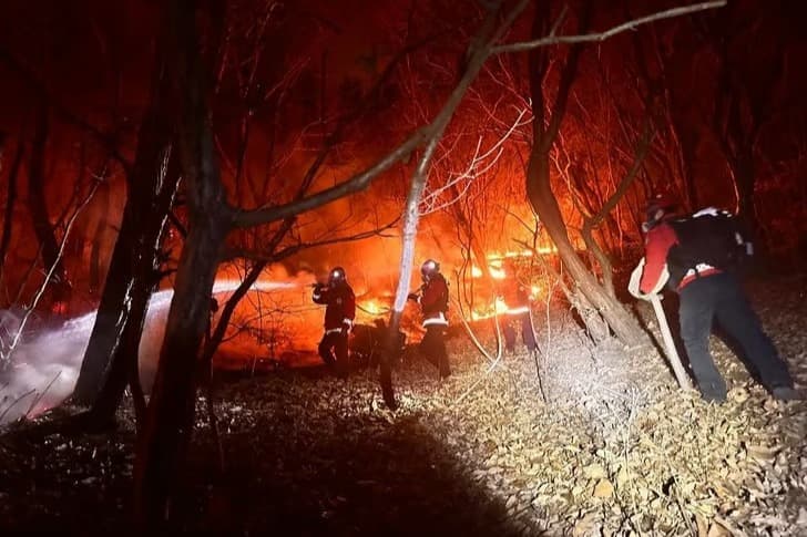 Güney Kore orman yangınıyla mücade ediyor