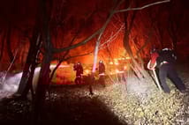 Güney Kore'de orman yangınıyla mücadele sürüyor