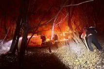 Güney Kore'de orman yangınıyla mücadele sürüyor