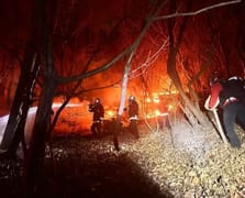 Güney Kore'de orman yangınıyla mücadele sürüyor