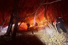 Güney Kore'de orman yangınıyla mücadele sürüyor