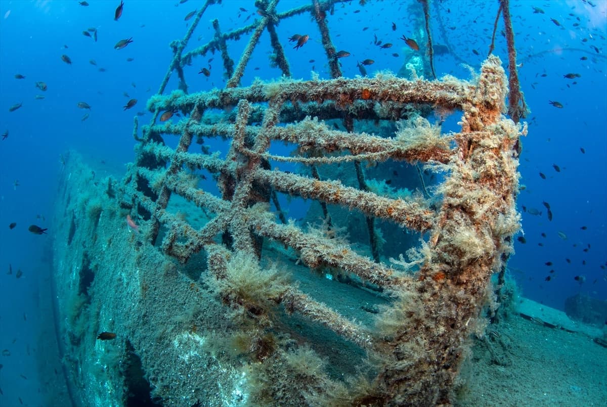 Denizin altındaki dünya Karaburun'da keşfediliyor