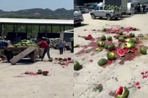 Mahsulünün para etmediğini söyledi karpuzları yere atarak parçaladı