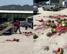 Mahsulünün para etmediğini söyledi karpuzları yere atarak parçaladı