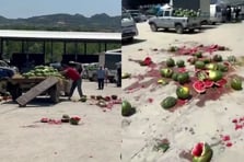 Mahsulünün para etmediğini söyledi karpuzları yere atarak parçaladı