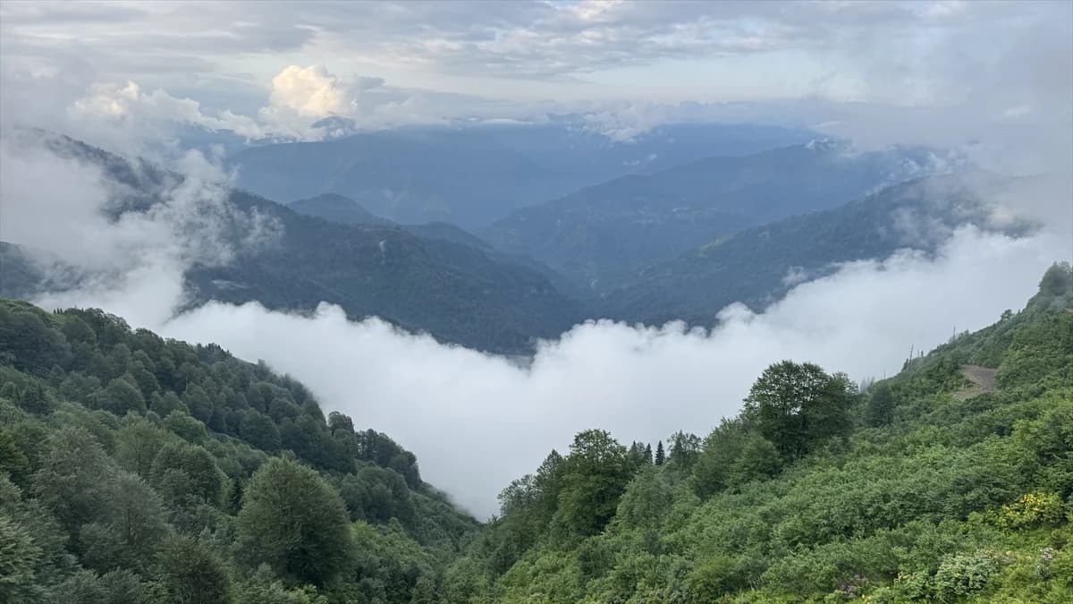 Borçka Karagöl Tabiat Parkı'na ziyaretçi akını