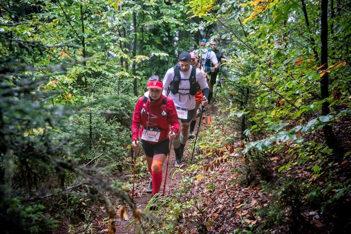 Küresel bir buluşma